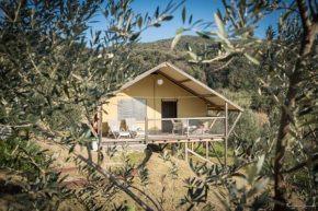 Glamping Tuscany - Podere Cortesi Santa Luce
